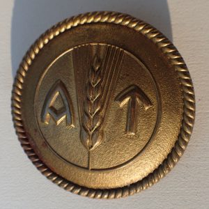 Kvinnelig AT brosje - Stabssjef/General.