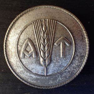 Kvinnelig AT Fylkingsfører halsbrosje.