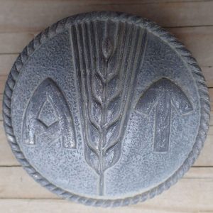 Kvinnelig AT Troppfører halsbrosje.