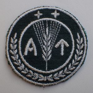 Kvinnelig AT Nestsveitfører armmerke.