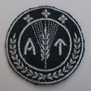 Kvinnelig AT Sveitfører armmerke.