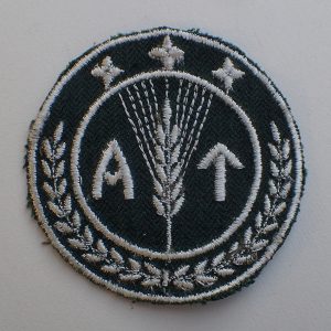 Kvinnelig AT Sveitfører armmerke.